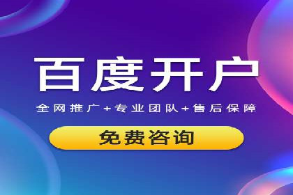 某某sem推广公司在某行业的应用与效果分析